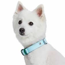 PetWatch SmartCollar - Image 2