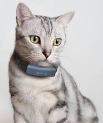 PetWatch SmartCollar - Image 3